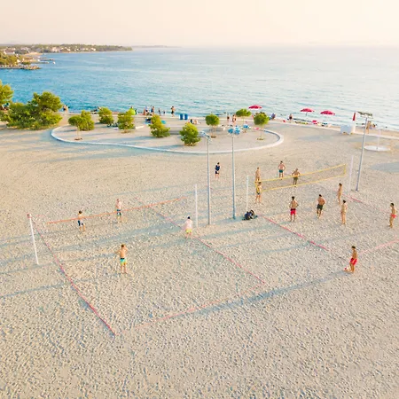 자톤 홀리데이 닌