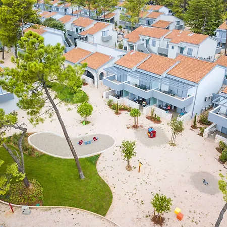 자톤 홀리데이 닌